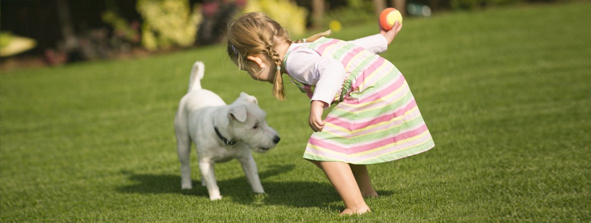 fake grass for dogs