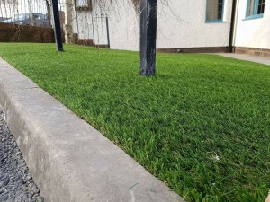 London Bridge Inn Artificial Grass K9 Turf 4