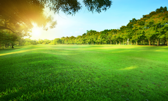 It might be the end for the great British lawn. New research revealed that Britons are now going for low maintenance outdoor areas for their gardens instead of choosing the traditional lawn.