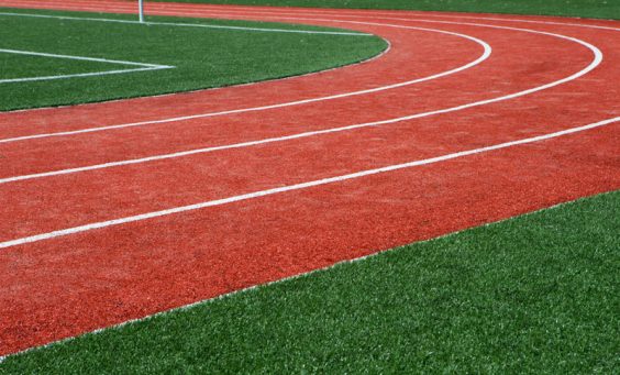 Artificial Grass