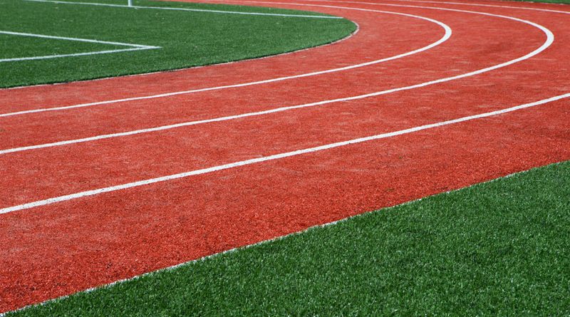 Artificial Grass