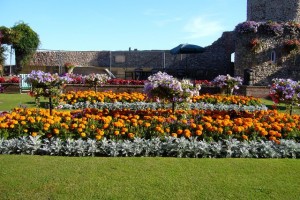 Sidmouth in Bloom Wins the Garden Centre Competition