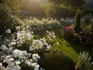 landscape-designer-jinny-blom-limited2
