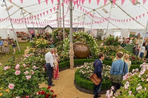rhs-hampton-court-palace-flower-show2
