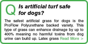 Is artificial turf safe for dogs