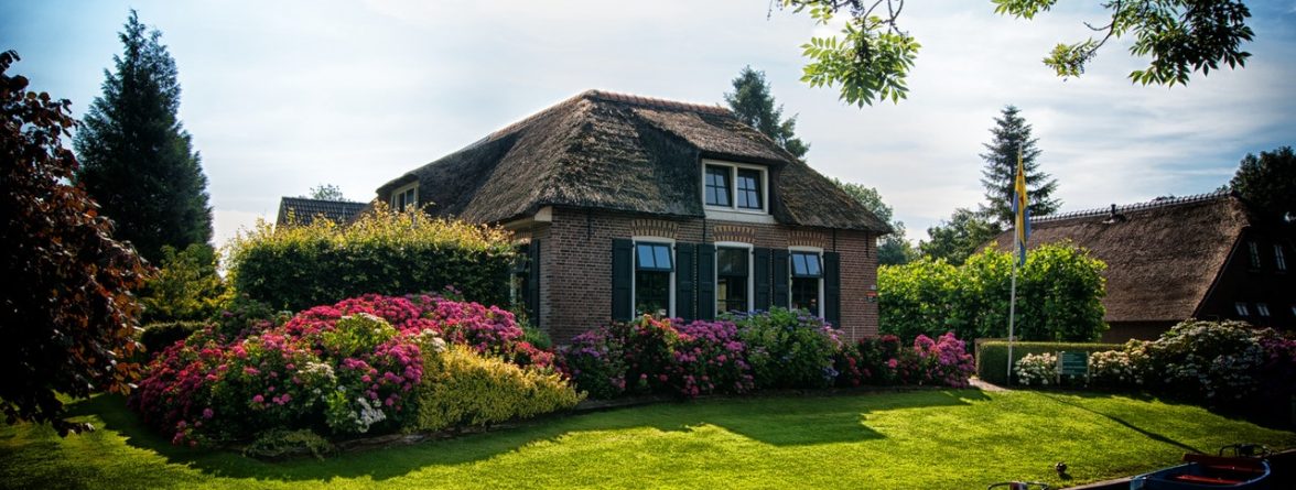 Why Artificial Grass is an Excellent Choice for the Elderly