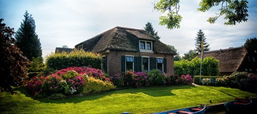 Why Artificial Grass is an Excellent Choice for the Elderly