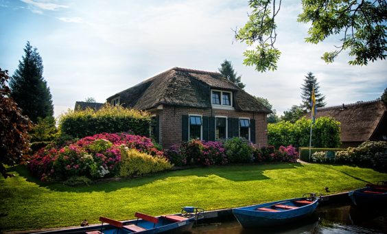 Why Artificial Grass is an Excellent Choice for the Elderly